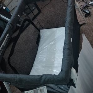 guava family lotus playard